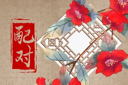 理想对象类型